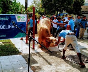 Potong 41 Hewan Qurban, Libatkan Lebih 120 Orang