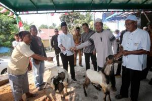 Jumlah Qurban Meningkat, HMR: Ekonomi Batam Membaik
