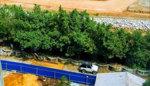 Dulu Lahan Belakang Gedung BP Batam Tandus, Kini Menghijau