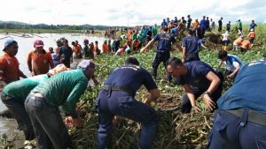 Esai Foto: Berjibaku Bersihkan Eceng Gondok di Dam Duriangkang