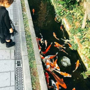 IPAL Bikin Ikan di Jepang Bisa Hidup di Selokan, Batam Segera Menyusul