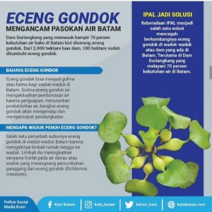 Berantas Eceng Gondok dengan IPAL