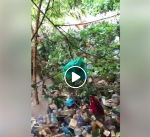 Begini Lho Akibatnya Bila Sampah Plastik Dibuang ke Parit