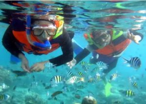 Wisman Asia, Australia, higga Brazil, Jelajahi Keindahan Alam Bawah Laut Pulau Abang
