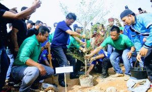 Ajak Masyarakat Tanam Ketapang Kencana, HMR: Orang Bahagia, Kita Dapat Pahala