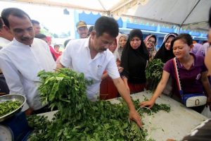 Embun Pagi HMR