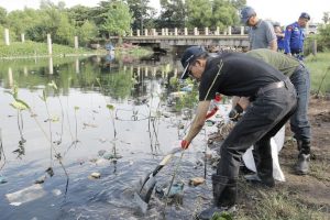 Esai Foto: Pakai Sepatu Karet dan Sekop, HAM Tanam Pohon hingga Ganyang Sampah Sungai Bengkong