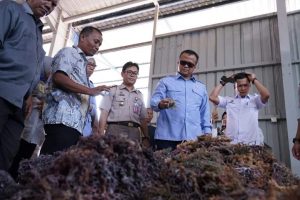 Dihadiri Menteri Edhy, Batam Ekspor Rumput Laut ke China, Potensi Capai 5 Ribu Ton