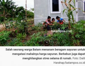 Sangat Inspiratif! Cara Warga Batam Siasati Keadaan Sulit ini Bikin Kagum
