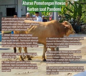 Masjid & Musala Boleh Potong Hewan Kurban, tapi dengan Protokol Kesehatan Ketat