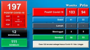 Sembilan Lagi Pasien Covid-19 Sembuh, Tren Positif di Awal New Normal