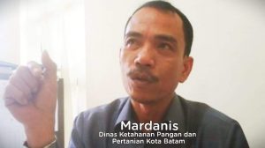 Pastikan Kesehatan Hewan Kurban, Sapi Bali Wajib Tes PCR, Penjual Wajib Patuh Protokol