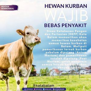 Lulus Cek DKPP, 10.446 Kambing dan 3.534 Sapi Sudah Aman untuk Kurban