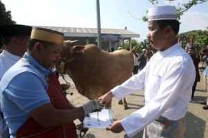 HMR Kurban di Masjid Agung, HAM di Masjid Sultan: Pemko juga Bagikan 35 Hewan Kurban