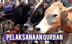 Tata Cara Kurban di New Normal, Tonton Video Ini Sampai Tuntas