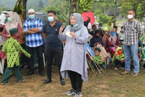 Embun Pagi HMR