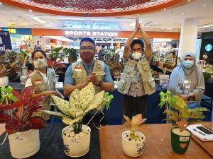 Aglonema Big Leaf & Varigata Bur Le Max, Si Cantik Juara Pertama Batam Flower Festival