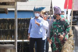 Dari Kampung Tangguh 𝗔𝗺𝗮𝘁 𝗕𝗲𝗹𝗮𝗻𝗱𝗮, Rumput Laut Batam Tembus Vietnam & China