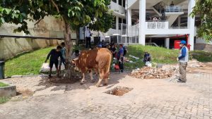 Serahkan Kurban, Ketua PIKORI Ajak Saling Berbagi & Melindungi di Tengah Pendemi