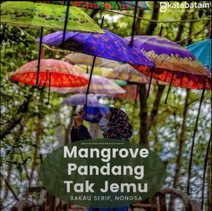 Melepas Jemu di Wisata Alam Mangrove Pandang Tak Jemu, Bakau Serip, Nongsa