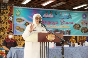 Wagub Marlin Jelaskan Apa Pentingnya Branding bagi UMKM untuk Perluas Pasar