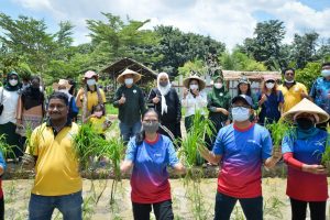 Turun ke Sawah, Wagub Marlin Tanam Padi Bersama Para Ekspatariat dan Wisatawan