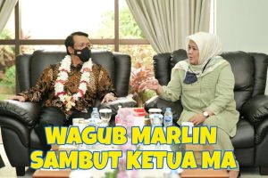 Bertemu Ketua MA, Wagub Marlin Bagi Kiat Sukses Lawan Covid-19 & Bangkitkan Ekonomi