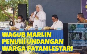 Wagub Marlin Penuhi Undangan Musrenbang di Keluran Patam Lestari