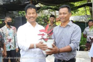 Pelaku Usaha Tanaman Hias Siap Jaga Penanaman Jati Emas yang Digagas HMR