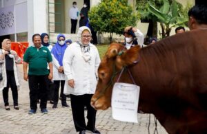 Serahkan Sapi Kurban BP Batam, Marlin: Hidupkan Semangat Berbagi dalam Kinerja