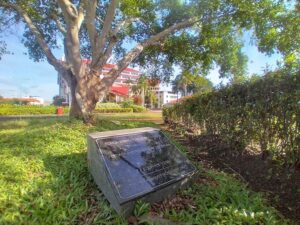 Kisah Pohon Beringin di Bundaran BP Batam, Ada Nama Soeharto, Lee Kuan Yew & Mahathir