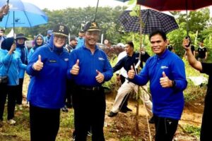 INSPIRASI PAGI: Pohon nan Tegar