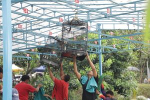 HMR Jadikan Lomba Kicau Burung HUT BP Batam Ajang Promosi Wisata ke Mancanegara