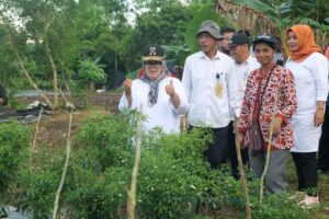 Marlin Janji 200 Bibit Cabai untuk Warga Galang, yang Diberi Dua Kali Lipatnya