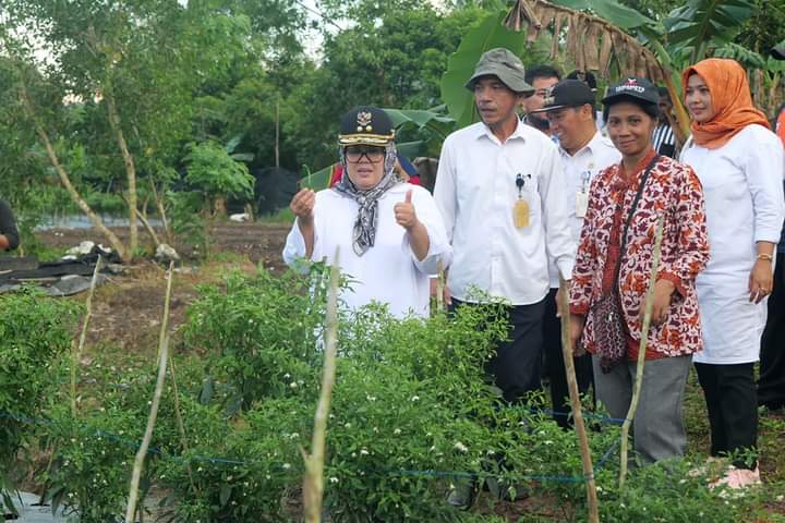 AMANAH: Wagub Marlin, membawa bibit cabai untuk warga Galang.