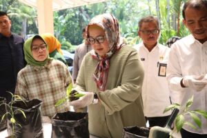 Kembangkan Komoditas Pertanian, Marlin Ingin Harga Cabai di Batam Tak “Pedas” Lagi
