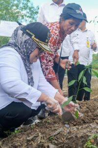 WARTA FOTO: Majukan Pertanian, Marlin Antar 400 Bibit Cabai & Pupuk ke Galang