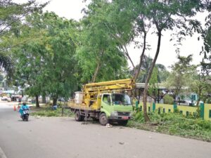 Musim Hujan & Angin, Disperakimtan Kota Batam Intensifkan Pangkas Ranting Pohon