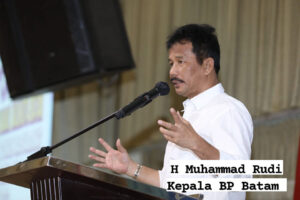 Jaga Pertumbuhan Ekonomi, Kepala BP HMR Jamin Kemudahan Investasi di Batam