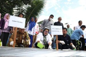 Bisa Hemat Uang Belanja dan Ampuh Tangkal Inflasi, Marlin Ajak Tanam Cabai di Rumah