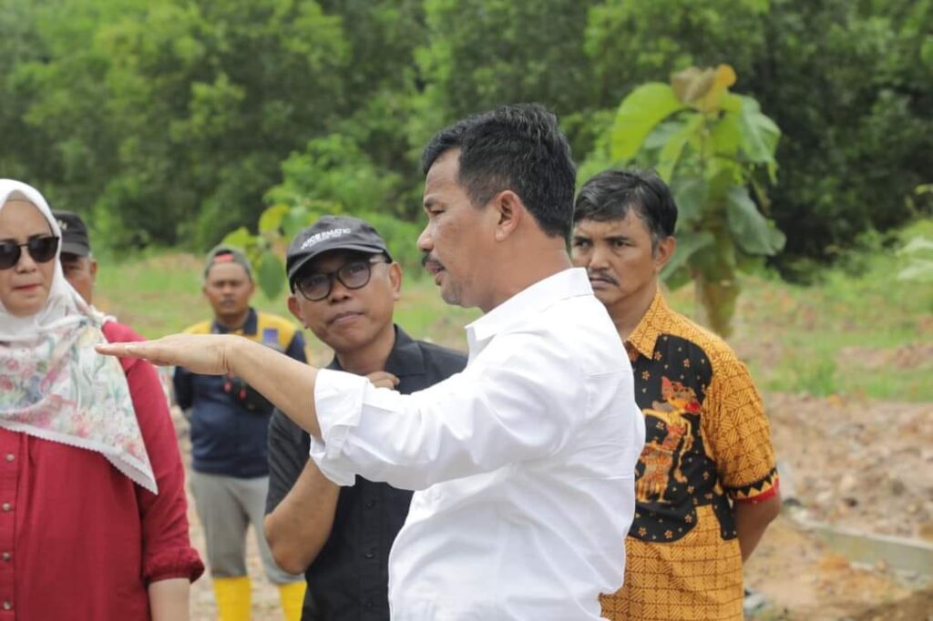 perkembangan pohon jati emas