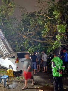 Angin Sebabkan Banyak Pohon Tumbang & Atap Rumah Rusak, tapi Tak Ada Korban Jiwa