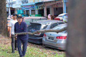 Angkat Kayu hingga Bersihkan Parit, Jefridin Gotong Royong Cegah Banjir Bersama OPD