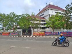 Banjir Papan Bunga Sambut Wali Kota Baru Batam: Amsakar-Li Claudia di Hati Warga