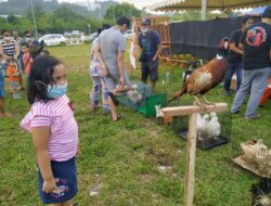 INSPIRASI PAGI: Harga Sebuah Kehormatan
