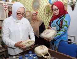 KATA FOTO: Dahsyatnya Sinergi & Akselerasi Strategis Ketua TP-PKK Batam & Menteri PPPA