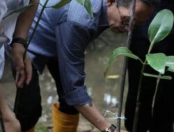 Sepatu Amsakar Mandi Lumpur saat Ikut Tanam 1.000 Bakau di Hari Buruh 2025