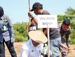 Jaga Ketahanan Pangan, Sekda Ikut Tanam Jagung Bersama Kelompok Tani Kejari Batam