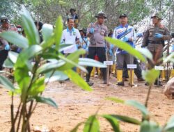 Kecamatan Nongsa Tanam 100 Pohon Mangrove Demi Menjaga Kelestarian Pesisir Tanjungmemban
